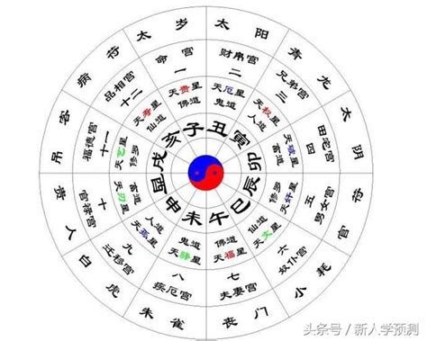 陰陽五行查詢|八字命盤